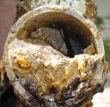 grease clogged pipe